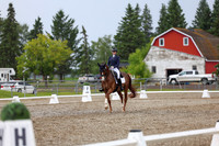 03886 - 2026 Dressage Festival - Sunday July 5th