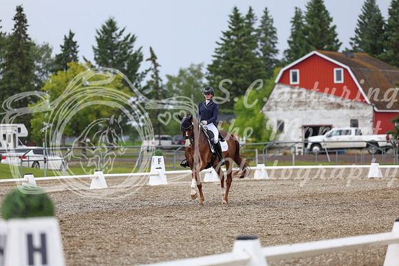 03886 - 2026 Dressage Festival - Sunday July 5th