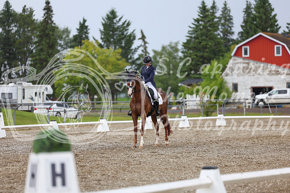 03888 - 2026 Dressage Festival - Sunday July 5th