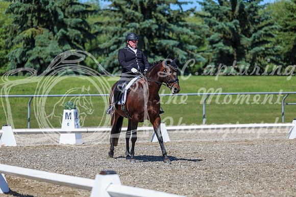 09484 - 2026 Dressage Festival - Sunday July 5th