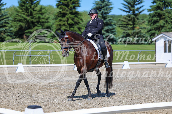 09499 - 2026 Dressage Festival - Sunday July 5th