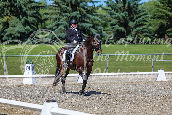 09486 - 2026 Dressage Festival - Sunday July 5th