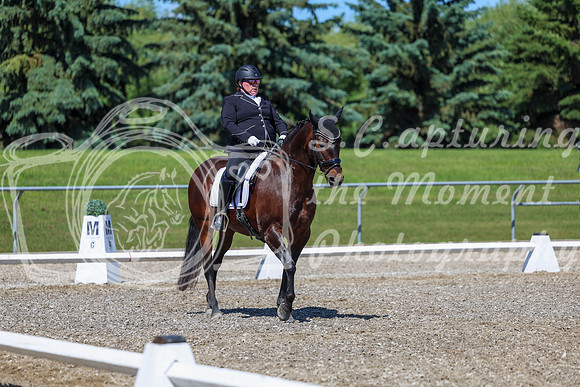 09487 - 2026 Dressage Festival - Sunday July 5th