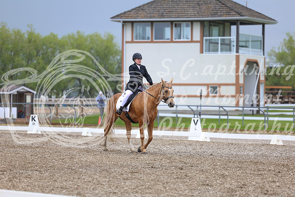 04184 - 2026 Dressage Festival - Sunday July 5th