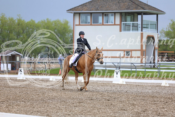 04183 - 2026 Dressage Festival - Sunday July 5th