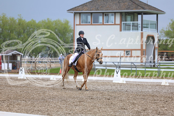 04182 - 2026 Dressage Festival - Sunday July 5th