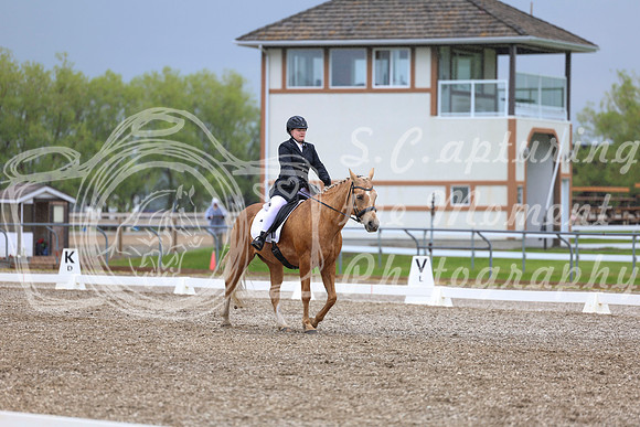 04185 - 2026 Dressage Festival - Sunday July 5th