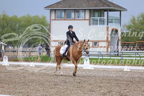 04188 - 2026 Dressage Festival - Sunday July 5th
