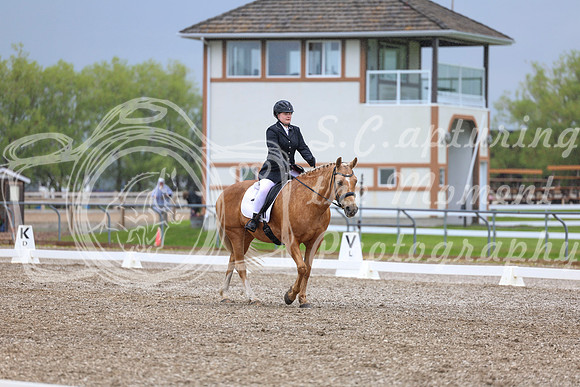 04187 - 2026 Dressage Festival - Sunday July 5th