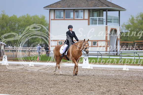 04189 - 2026 Dressage Festival - Sunday July 5th