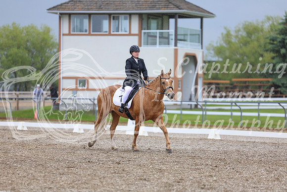 04190 - 2026 Dressage Festival - Sunday July 5th