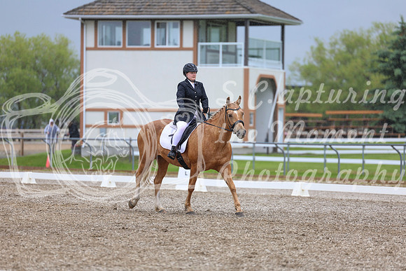 04191 - 2026 Dressage Festival - Sunday July 5th