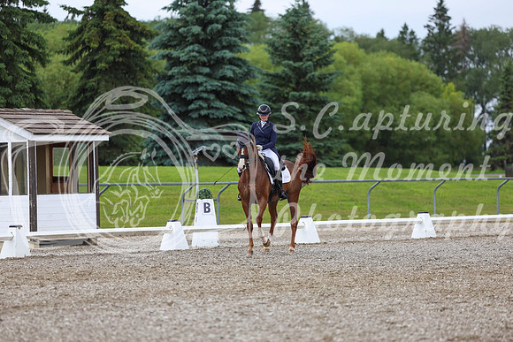 03977 - 2026 Dressage Festival - Sunday July 5th
