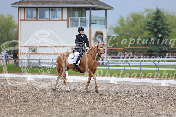 04195 - 2026 Dressage Festival - Sunday July 5th
