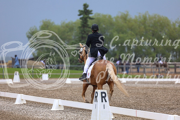 04235 - 2026 Dressage Festival - Sunday July 5th