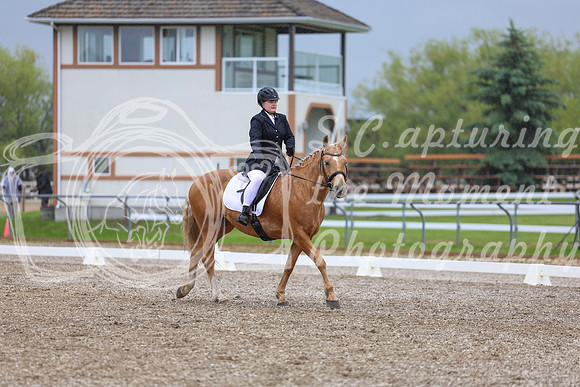 04197 - 2026 Dressage Festival - Sunday July 5th