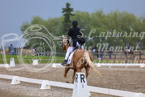 04236 - 2026 Dressage Festival - Sunday July 5th
