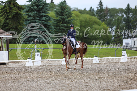03980 - 2026 Dressage Festival - Sunday July 5th