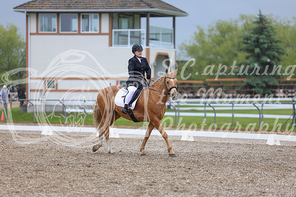 04198 - 2026 Dressage Festival - Sunday July 5th