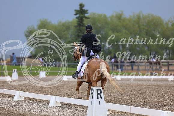 04237 - 2026 Dressage Festival - Sunday July 5th