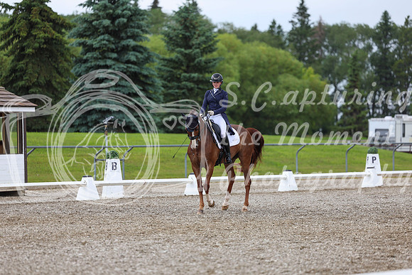03981 - 2026 Dressage Festival - Sunday July 5th