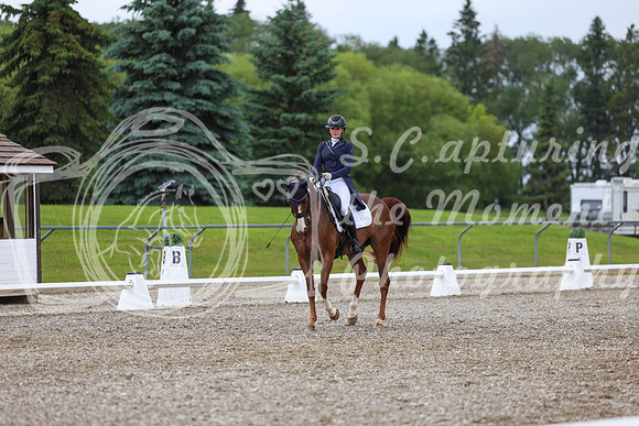03982 - 2026 Dressage Festival - Sunday July 5th