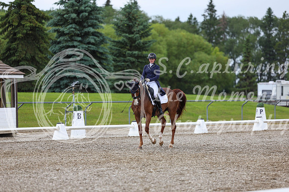 03983 - 2026 Dressage Festival - Sunday July 5th