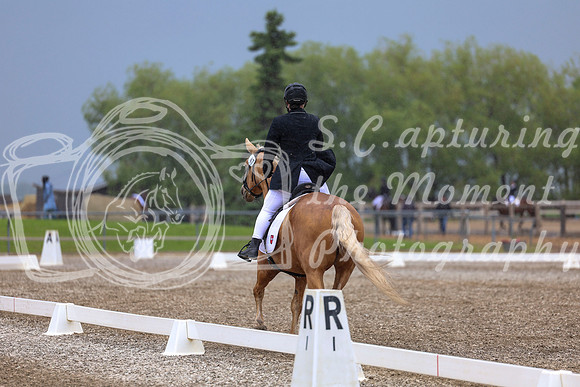 04238 - 2026 Dressage Festival - Sunday July 5th