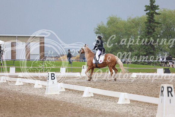 04274 - 2026 Dressage Festival - Sunday July 5th