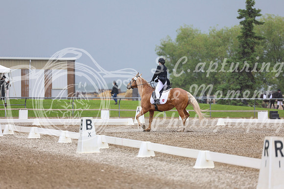 04275 - 2026 Dressage Festival - Sunday July 5th
