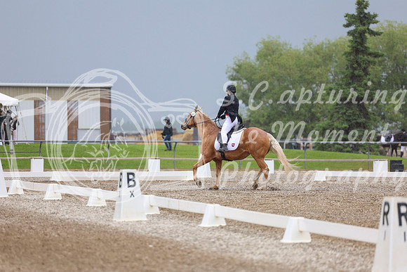 04276 - 2026 Dressage Festival - Sunday July 5th