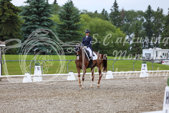 03984 - 2026 Dressage Festival - Sunday July 5th