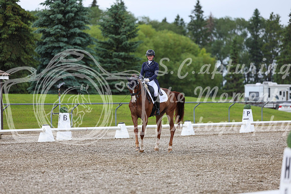 03985 - 2026 Dressage Festival - Sunday July 5th