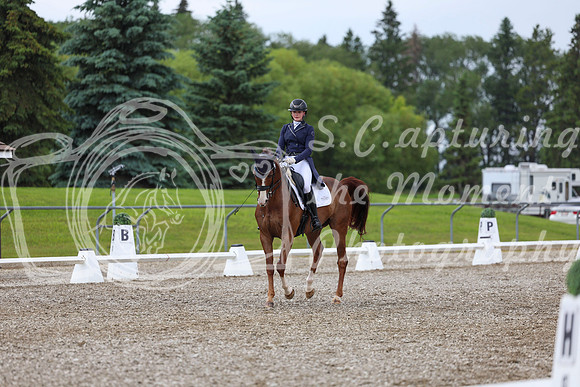 03988 - 2026 Dressage Festival - Sunday July 5th