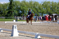 07326 - 2026 Dressage Festival - Sunday July 5th