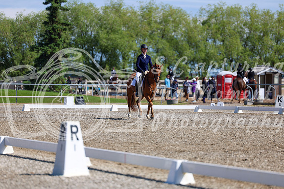 07326 - 2026 Dressage Festival - Sunday July 5th