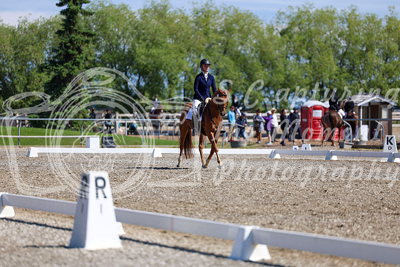 07329 - 2026 Dressage Festival - Sunday July 5th