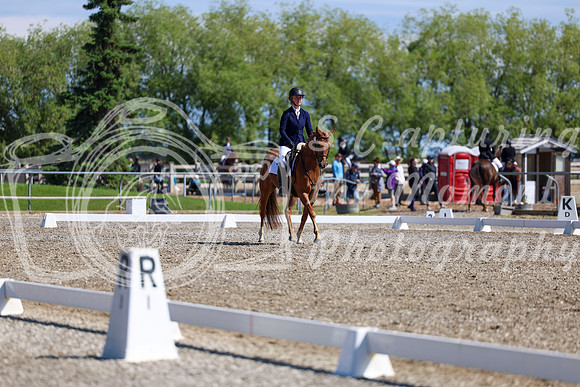 07328 - 2026 Dressage Festival - Sunday July 5th