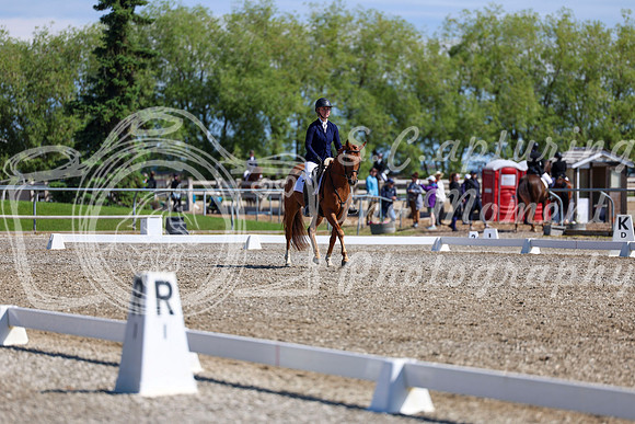 07327 - 2026 Dressage Festival - Sunday July 5th
