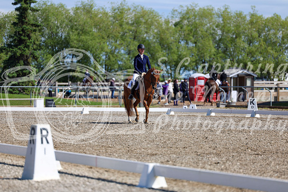 07330 - 2026 Dressage Festival - Sunday July 5th