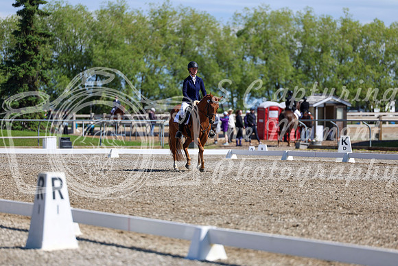 07331 - 2026 Dressage Festival - Sunday July 5th