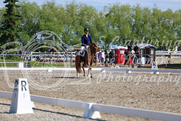 07332 - 2026 Dressage Festival - Sunday July 5th