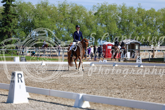 07333 - 2026 Dressage Festival - Sunday July 5th