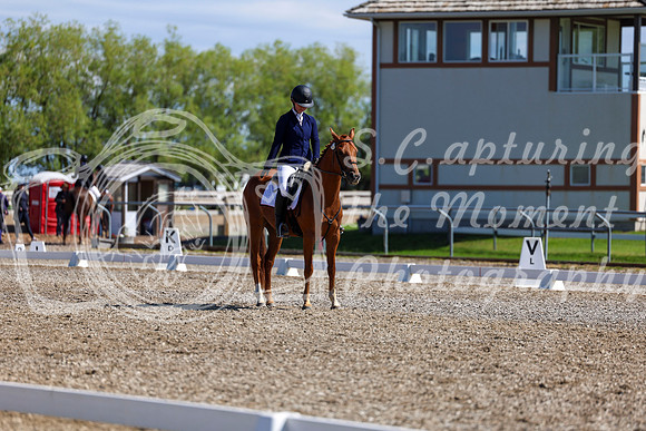 07348 - 2026 Dressage Festival - Sunday July 5th