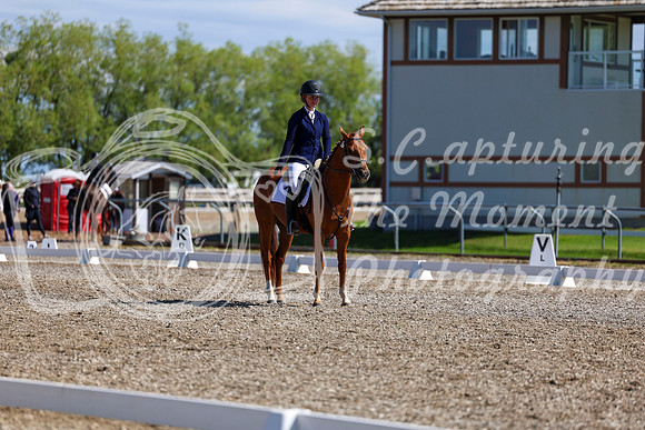 07353 - 2026 Dressage Festival - Sunday July 5th