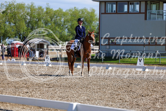 07354 - 2026 Dressage Festival - Sunday July 5th