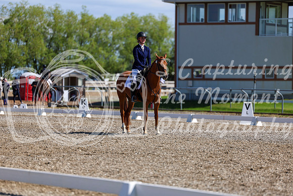 07355 - 2026 Dressage Festival - Sunday July 5th