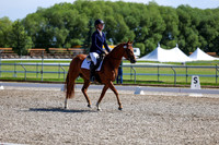07356 - 2026 Dressage Festival - Sunday July 5th