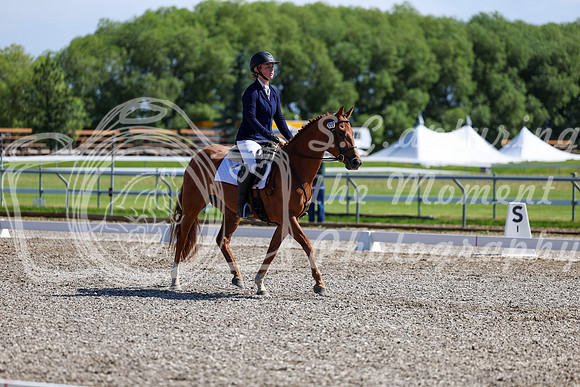 07356 - 2026 Dressage Festival - Sunday July 5th