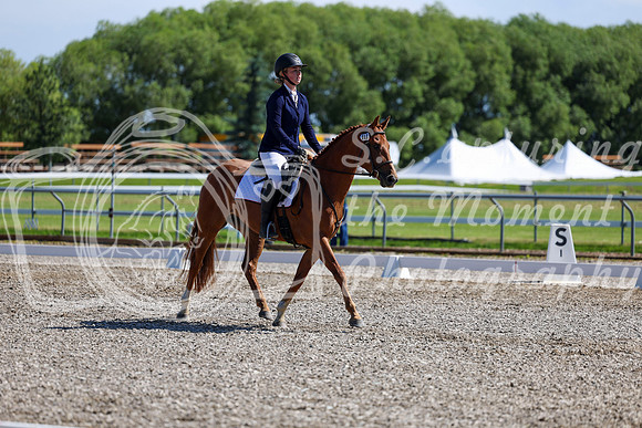 07357 - 2026 Dressage Festival - Sunday July 5th
